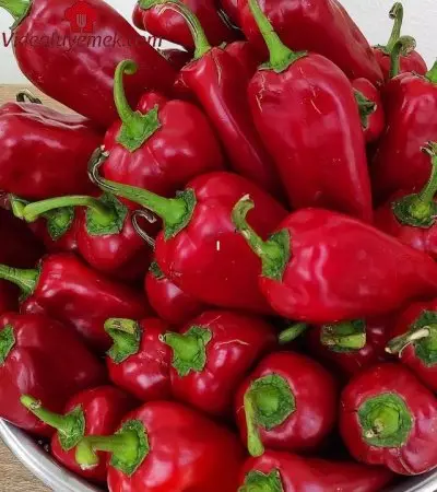 Az Yaptığınıza Pişman Olacaksınız 20 Yıldır Yapıyorum .Inanılmaz Derecede Lezzetli Turşu Tarifi.