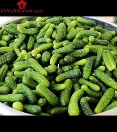 Turşuyu Bu Yöntemle Yapın ️ Asla Erimez ,Çıtır Çıtır Olur. En Kolay En Lezzetli En Pratik Tarif.